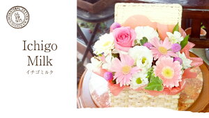 yŒZ 14܂Łz  v[g a oXPbg LTCY t[AWg t[Mtg  j LO tw JXj j