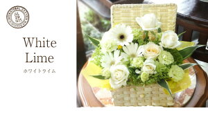 yŒZ 14܂Łz  v[g a oXPbg LTCY t[AWg t[Mtg  j LO tw JXj j