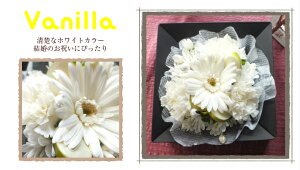 a  Mtgt[{bNX sweets Mtg LO j Џj v[g