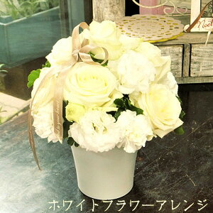 t[AWg zCgt[AW  Ђj ԃMtg At[