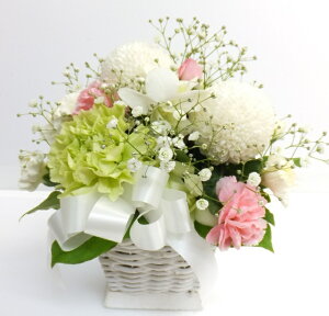 ybgp29 t[AWg ybĝ  lR 