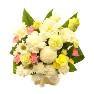 ybgp30 t[AWg ybg  lR  