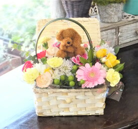 ペットのためのお供え 花 フラワーアレンジメント ペット専用 犬