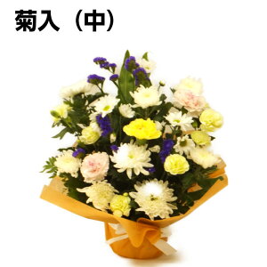  e萶ԃAWgij  l\   O  \O @v @p