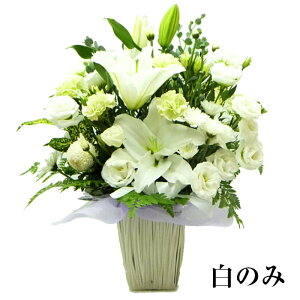    t[AWg L yy14z  l\ @ l\   O ފ    ybĝ