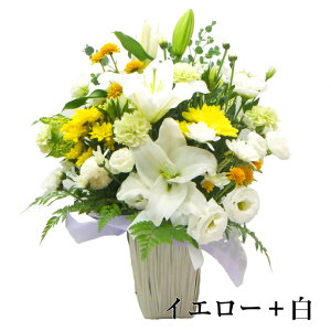 ފ    t[AWg L yy14z  l\ @ l\   O ފ    ybĝ