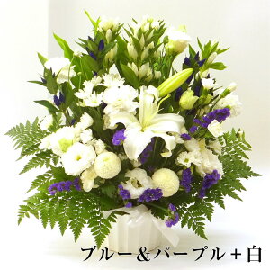    AWg LLyy14zl\ ݂̉  t[AW @؃AW