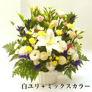    AWg LLyy14zl\ ݂̉  t[AW @؃AW