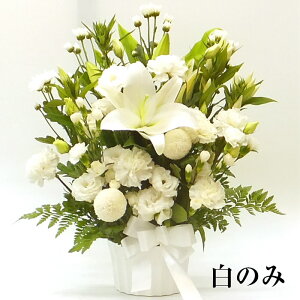    AWg LLyy14zl\ ݂̉  t[AW @؃AW