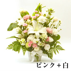   AWg M yy14z  l\ ݂̉ Ԃ̃t[AW @    ybĝ