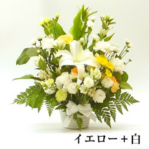   AWg M yy14z  l\ ݂̉ Ԃ̃t[AW @    ybĝ