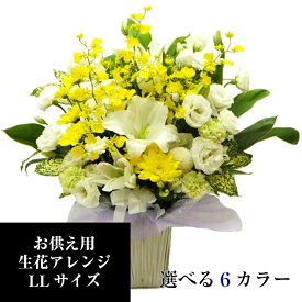 お供え 花 生花 アレンジメント LL【あす楽14時】四十九日 お悔やみの花 仏花 フラワーアレンジ 法事豪華アレンジ