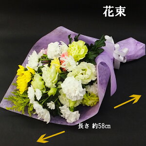 Eݗp̃t[AWgorԑ 5500  l\  O ފ @v @ 