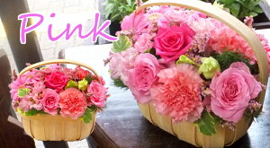  v[g ԃAW EbhoXPbg̉Ԃ v[g LO j oYj JXj ސEjɁI