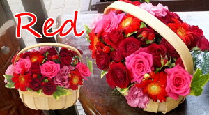  v[g ԃAW EbhoXPbg̉Ԃ v[g LO j oYj JXj ސEjɁI