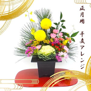 2026   xsbNAWg }tEVN̐ԃt[AWg