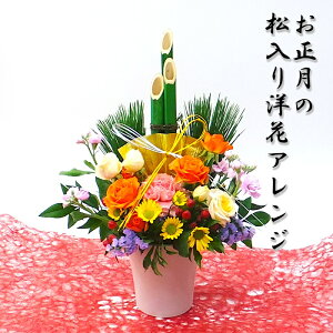 2026   mԃAWg }tEVN̐ԃt[AWg