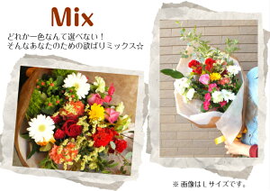 a  v[g ԑ j G߂̂܂ԑLTCY Mtg