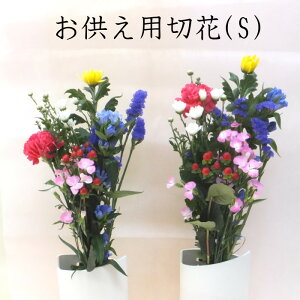 菊 切り花の人気商品 通販 価格比較 価格 Com