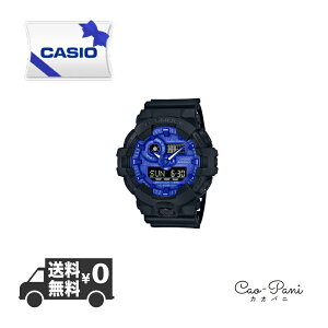JVI rv Y u[ ubN CASIO G-SHOCK W[VbN GA700BP1A