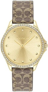 �R�[�` �r���v ���f�B�[�X MODERN SPORT �S�[���h �u���E�� 14503218 COACH