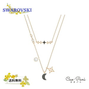 XtXL[ lbNX fB[X [YS[h Vo[ 2_Zbg Symbolic SWAROVSKI 5273290