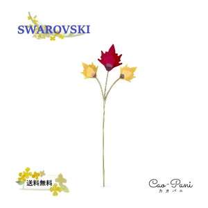 XtXL[ u fB[X CG[ bh SWAROVSKI K[feC H̗t  5586698