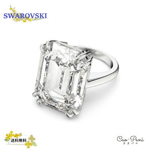 XtXL[ w fB[X Vo[ Vv SWAROVSKI 58 ( {TCY 17 ) sAi 5610380