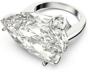 XtXL[ w fB[X Vo[ Vv SWAROVSKI 58 ( {TCY 17 ) sAi 5610378