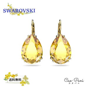 XtXL[ sAX ~jAy 5619495 CG[ fB[X SWAROVSKI