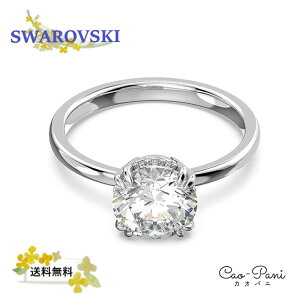 XtXL[ w fB[X Vo[ Vv 5638529 SWAROVSKI RXe 52(10)