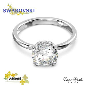 XtXL[ O w Constella 5642636 Vo[ NX^ 60 ( {TCY 19 ) sAi fB[X SWAROVSKI