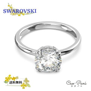 XtXL[ w fB[X Vo[ Vv 5642637 SWAROVSKI RXe 58 ( {TCY 17 ) sAi