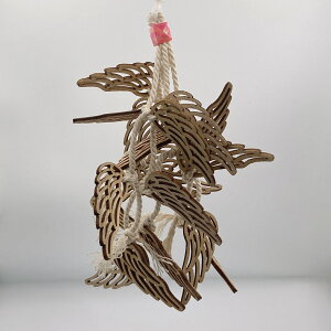 yjerry's bird toyzwing