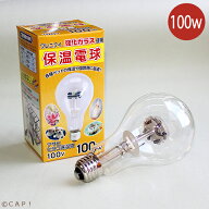 アサヒ 保温電球 100W