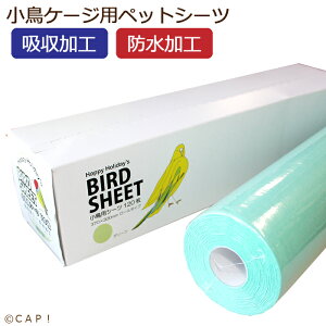 y11/15_I2l1l^ő100%|CgobNXSiP5{vGg[zynbs[zfBzpV[c@120@O[