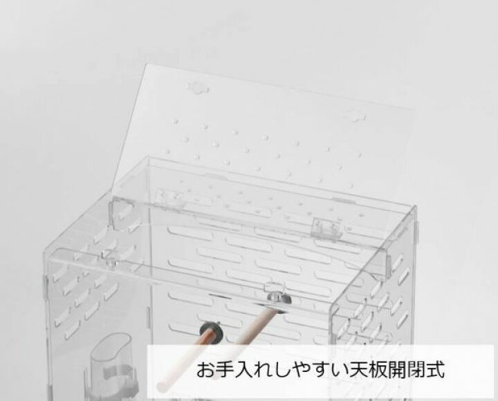 楽天市場】【GEX】コトリウム460※同梱不可※※受注後お取り寄せ品※ : CAP! 楽天市場】【GEX】コトリウム460※同梱不可※※受注後お取り寄せ品※ : CAP!