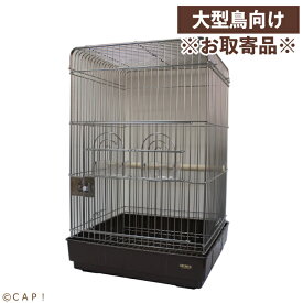 【HOEI】915オウム　底色：ブラウン※同梱不可※※受注後お取り寄せ品※