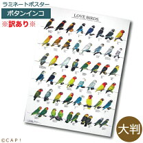 楽天市場】在庫処分（本・雑誌・コミック）の通販
