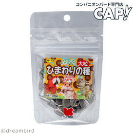 CAP! 鳥の餌 賞味期限2027/10/31※ひまわり大粒※【黒瀬ペットフード】自然派宣言 ひまわりの種 大粒 20g