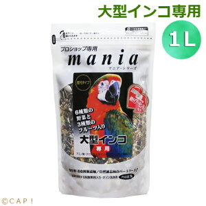 CAP! ̉a ܖ2026/12/31^1Lyybgt[hz}jA ^CRp 1Li620gj