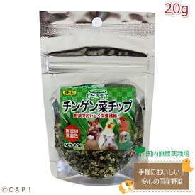 CAP! 鳥の餌 賞味期限2025/5/31 黒瀬ペットフード 自然派宣言 チンゲン菜チップ 20g