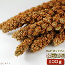 赤粟の穂　500g