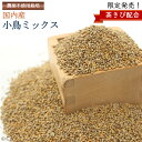 数量限定【国内産】小鳥ミックス 500g ※茶きび使用※