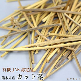 【熊本県産】※JCS30※農薬不使用栽培 カット茎 30g ★