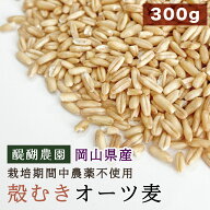 CAP! 鳥の餌 賞味期限2027/3/31※DOG300殻むきオーツ※【醍醐農園】岡山県産 殻むきオーツ麦 300g★