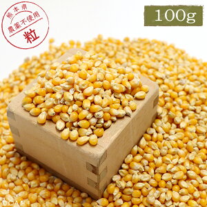 CAP! ̉a ܖ2027/4/26yYzƂ낱ij100g