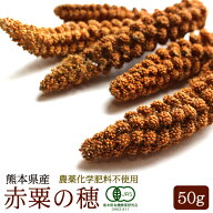 CAP! 鳥の餌 賞味期限2027/9/30【熊本県産】有機JAS認定品 赤粟の穂 50g 2025年産 ★