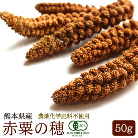 CAP! 鳥の餌 賞味期限2027/8/31【熊本県産】有機JAS認定品 赤粟の穂 50g 2025年産 ★