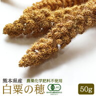 CAP! 鳥の餌 賞味期限2028/1/31【熊本県産】有機JAS認定品 白粟の穂 50g★
